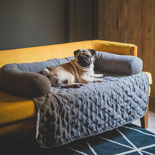Pet Sofa Cover