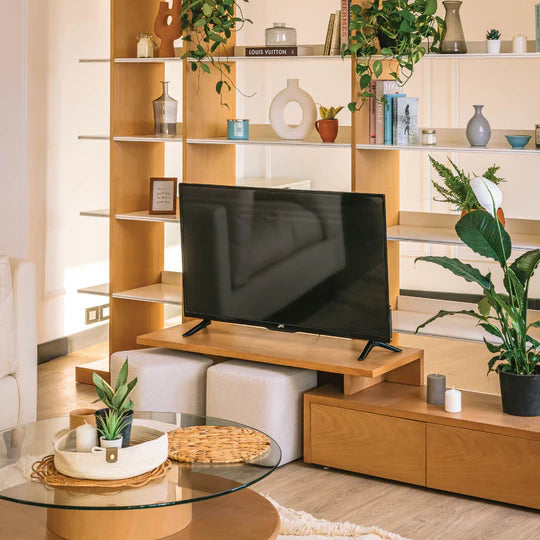 وحدة تلفزيون مزدوجة