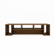 Vega TV Unit