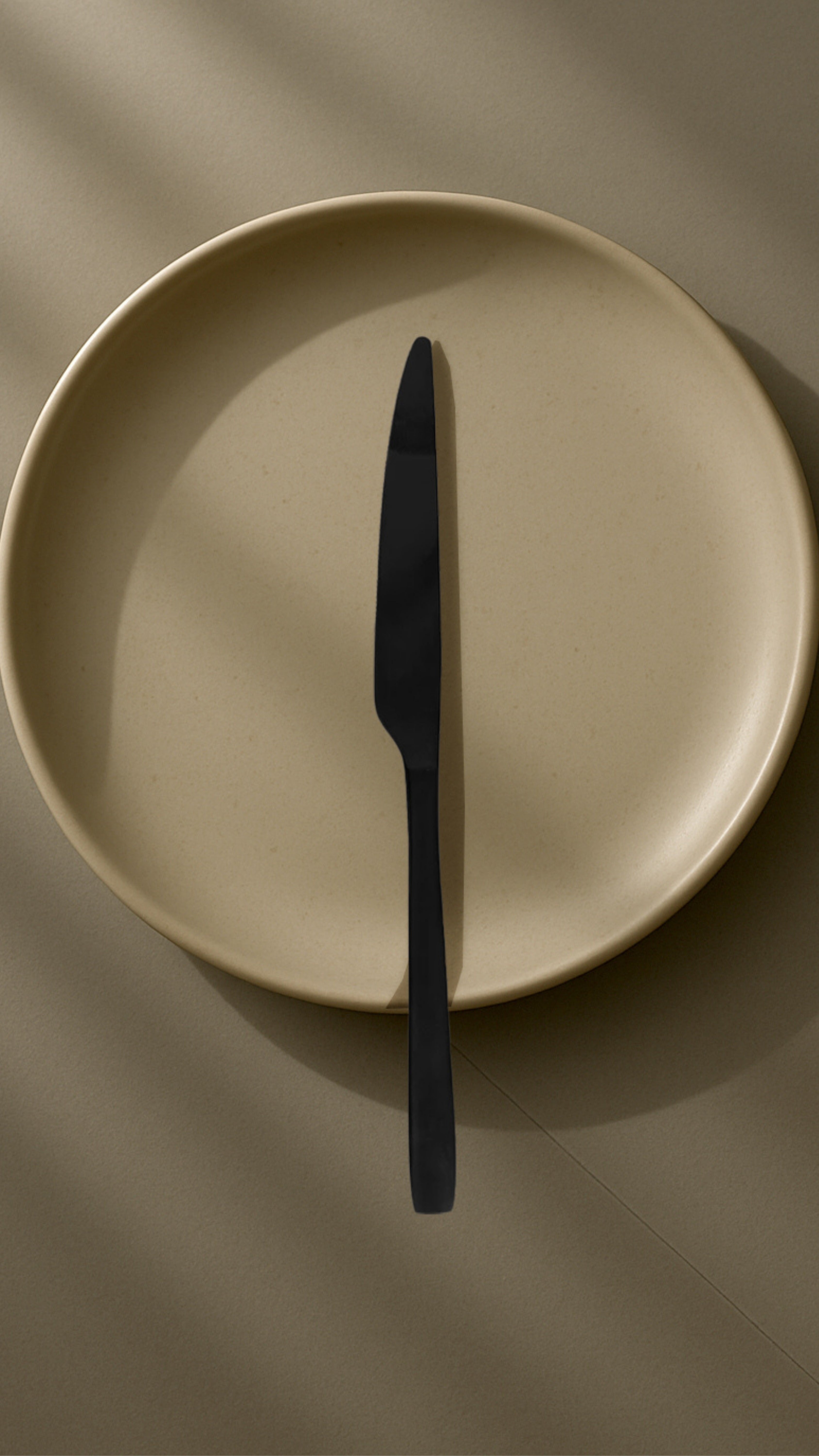 Infinito Table knife