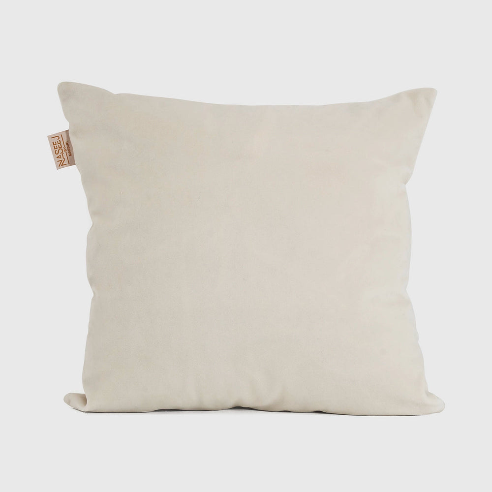 Velvet Cushion