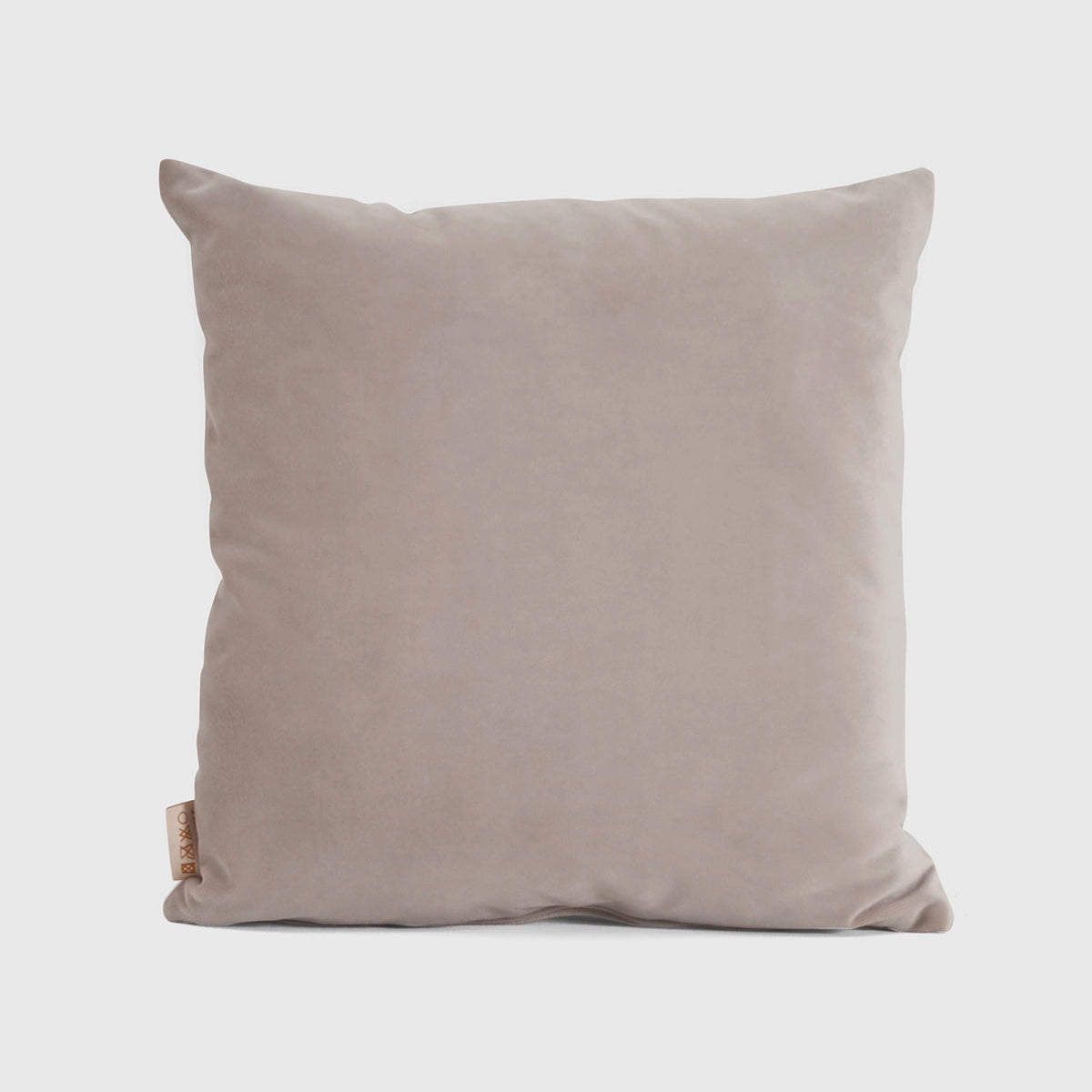 Velvet Cushion