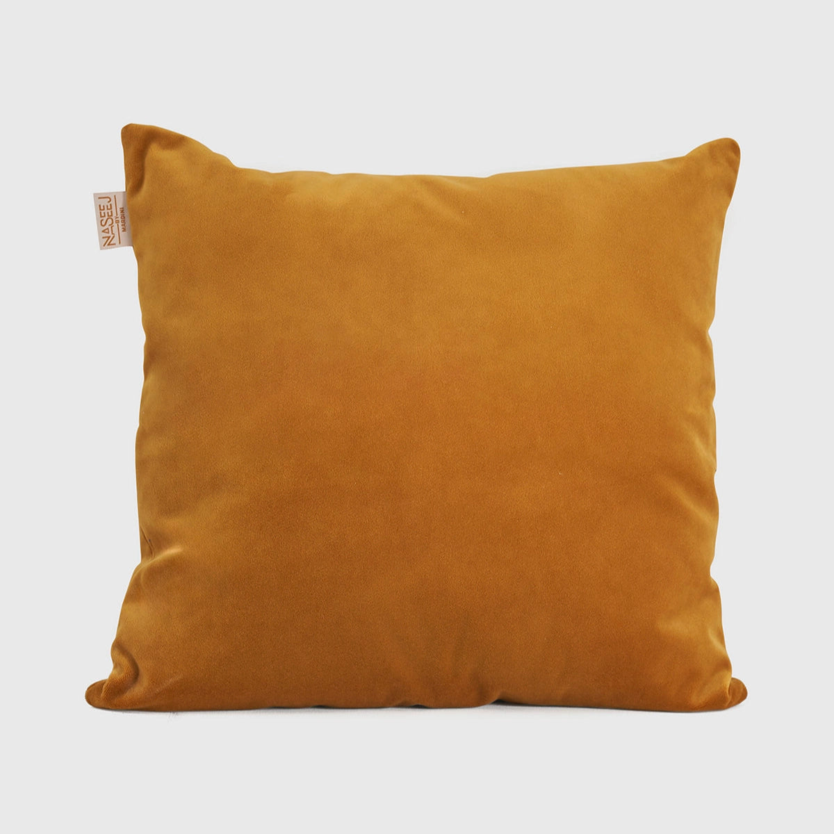 Velvet Cushion