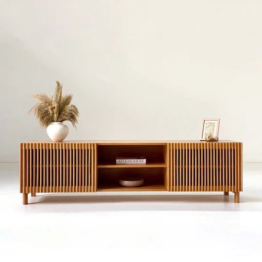 وحدة تلفزيون بايلا