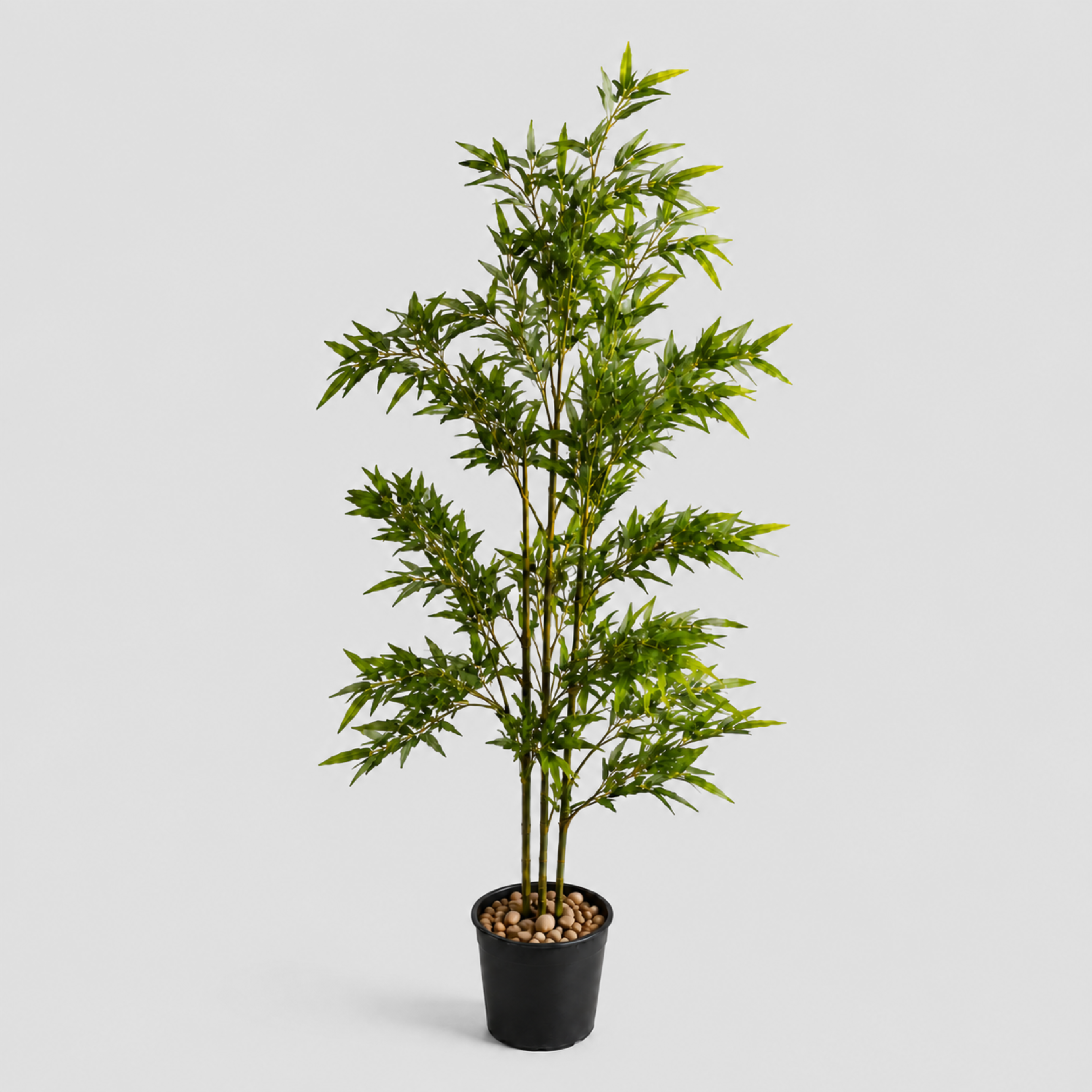 Elora Bamboo Tree