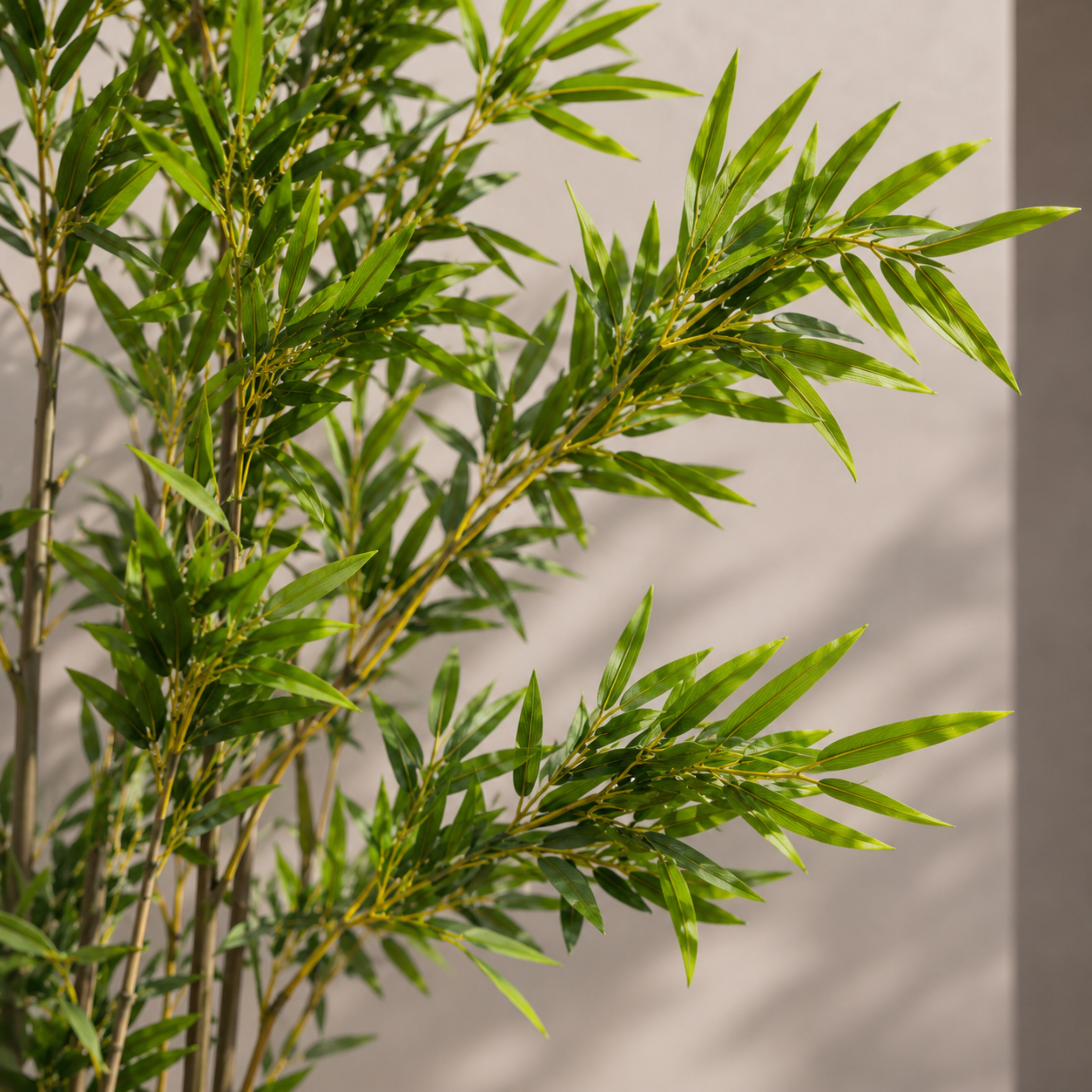 Elora Bamboo Tree