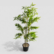 Elora Bamboo Tree