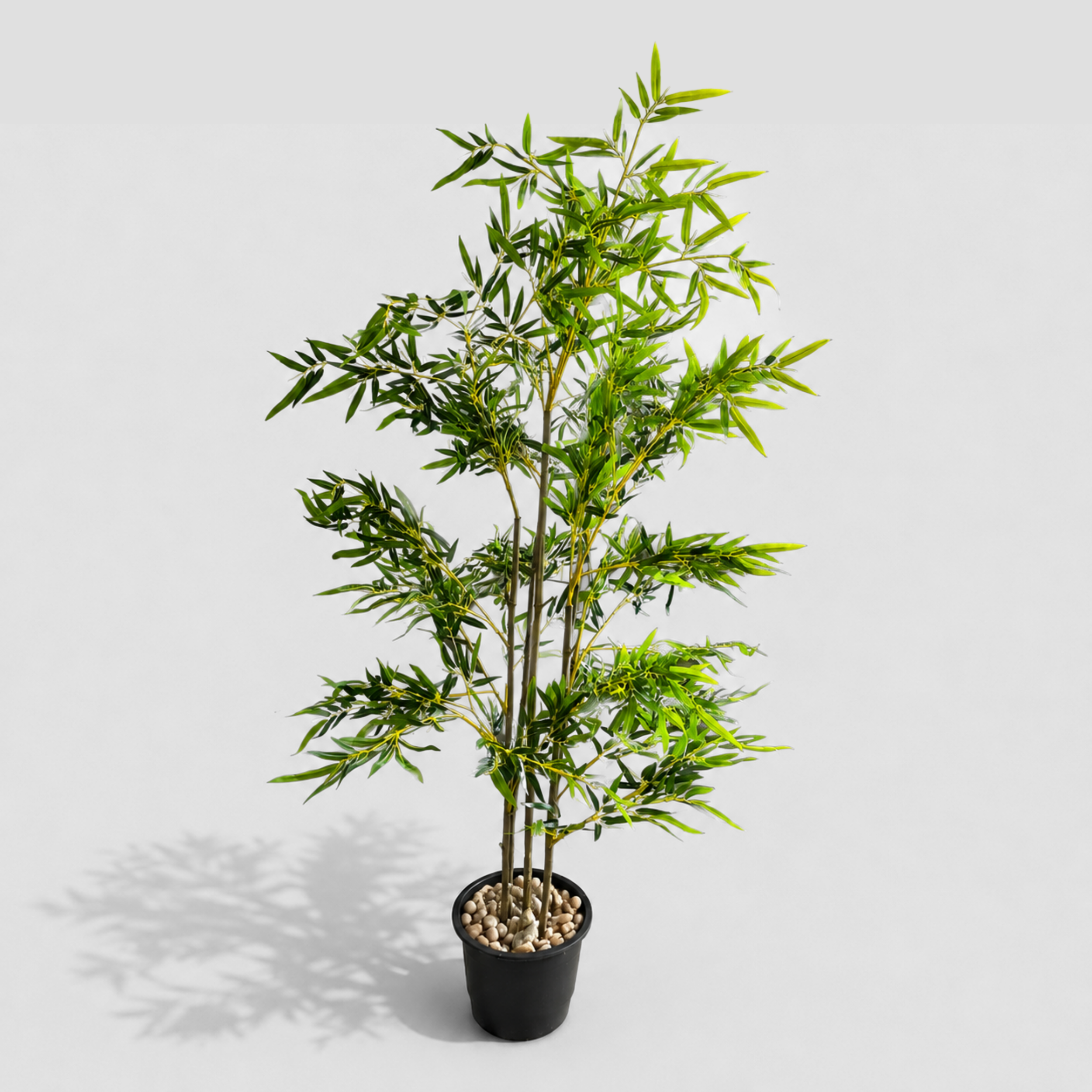Elora Bamboo Tree