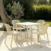 The Aime Collection