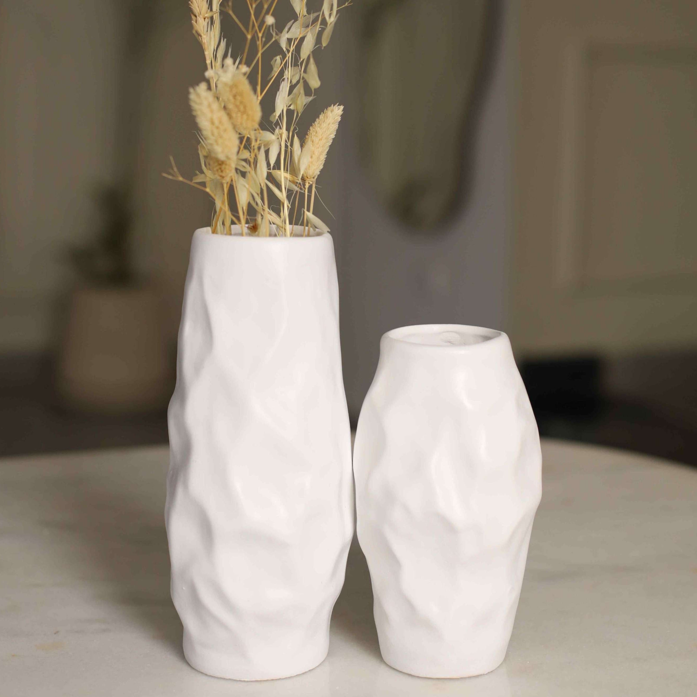 طقم فازات فيولا