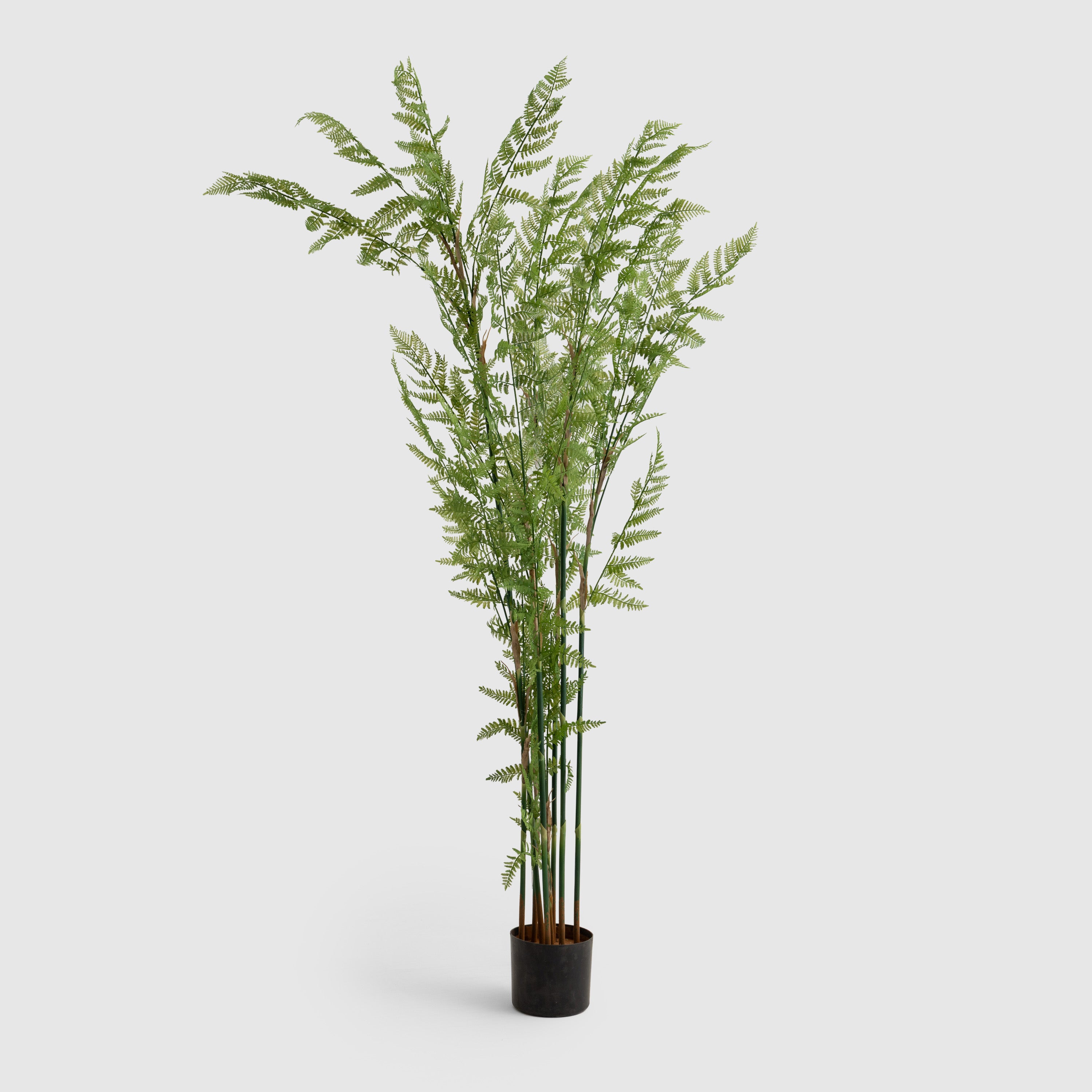Fujairah Artificial Tree