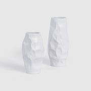 طقم فازات فيولا