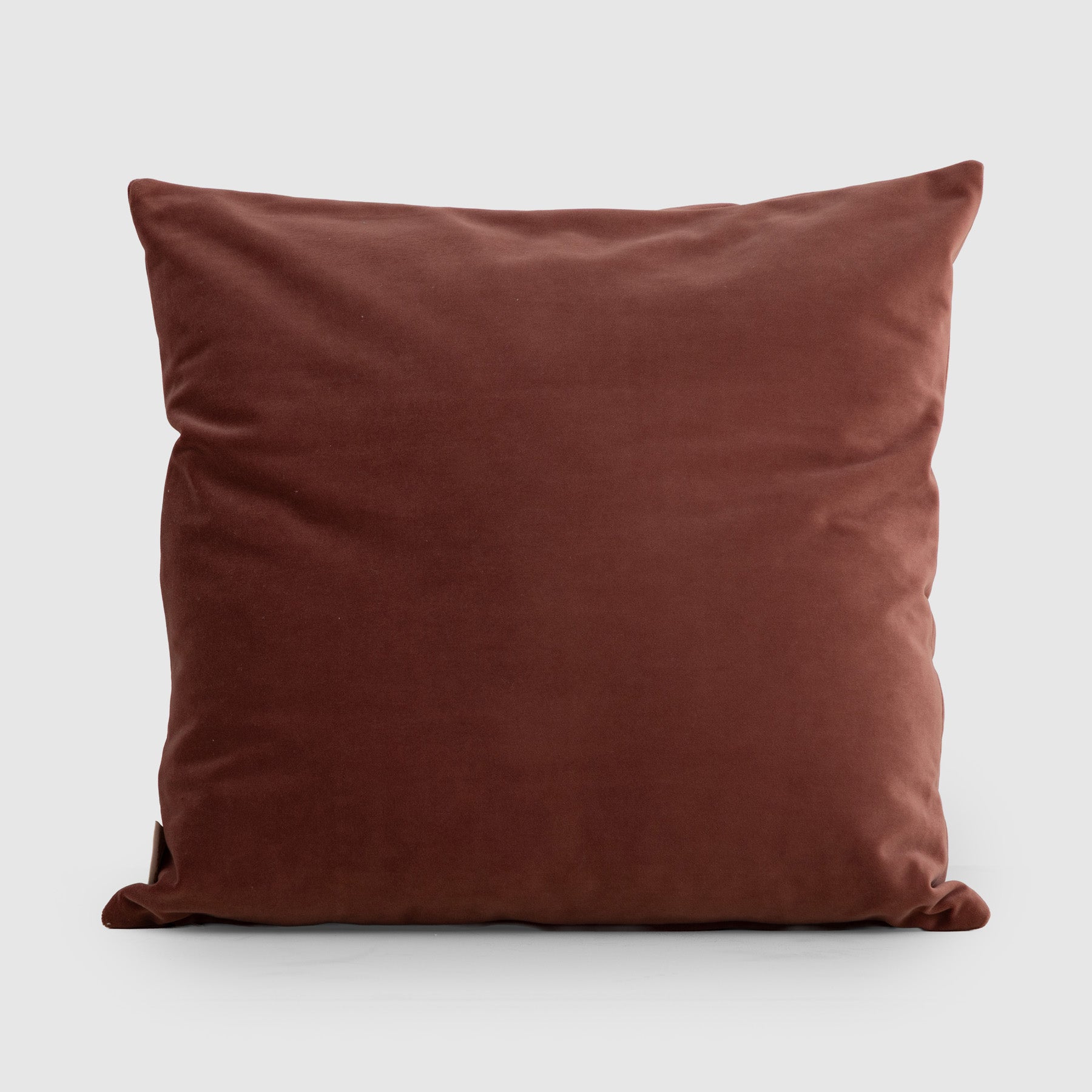 Velvet Cushion