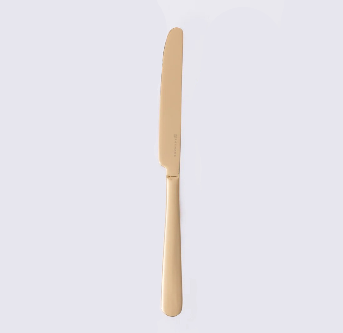 Stainless Steel Dinner Knife