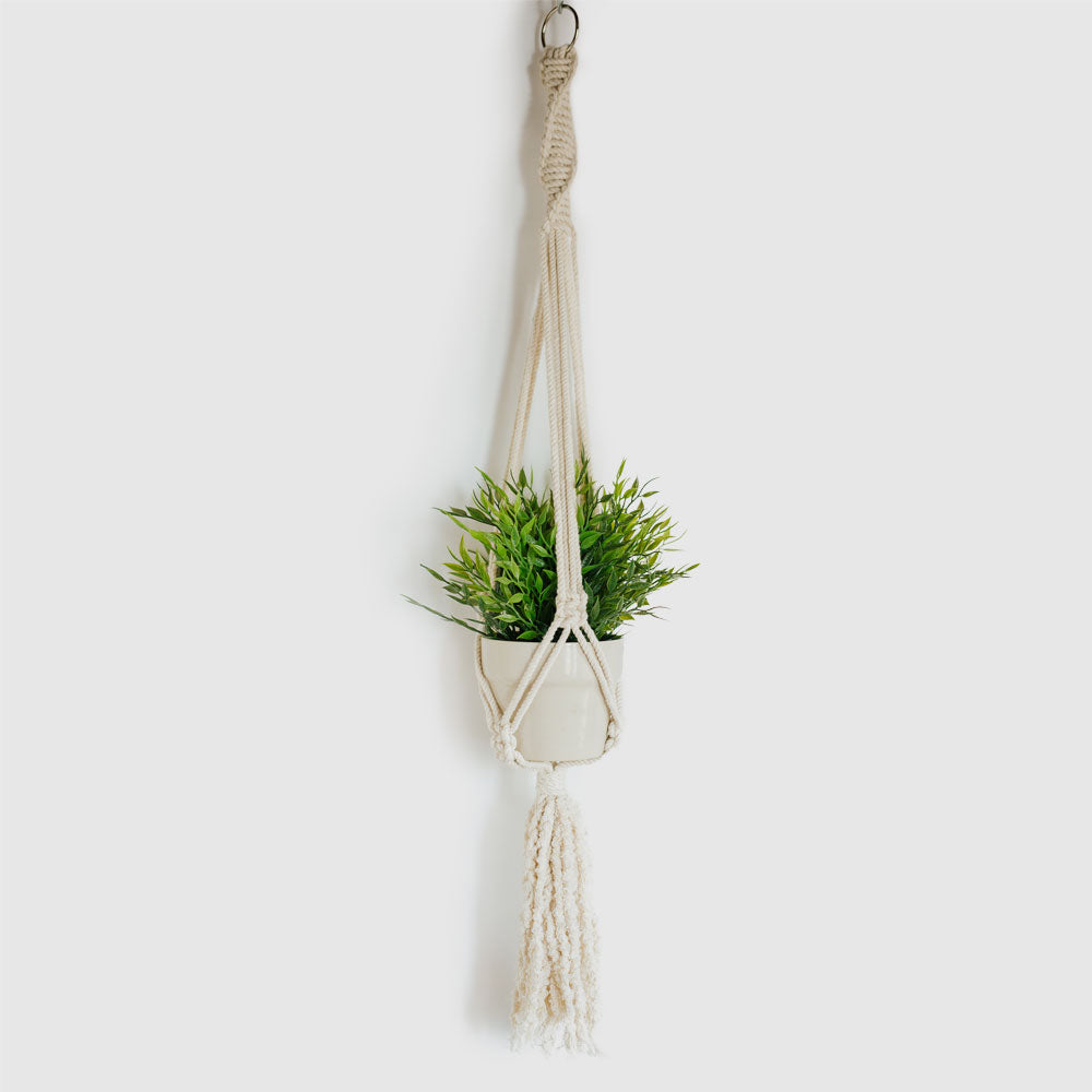 Calumba Wall Hanging Planter