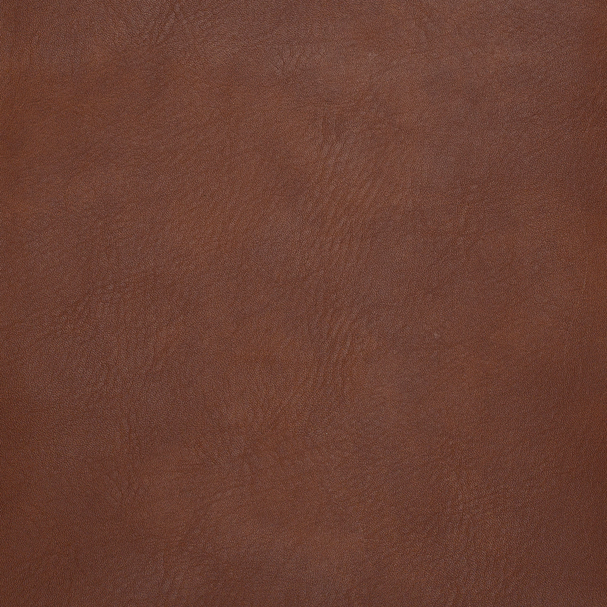 Brown Leather