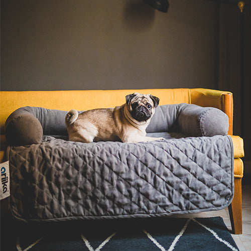 غطاء كنبة للحيوانات الأليفة