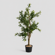 Riva Tree
