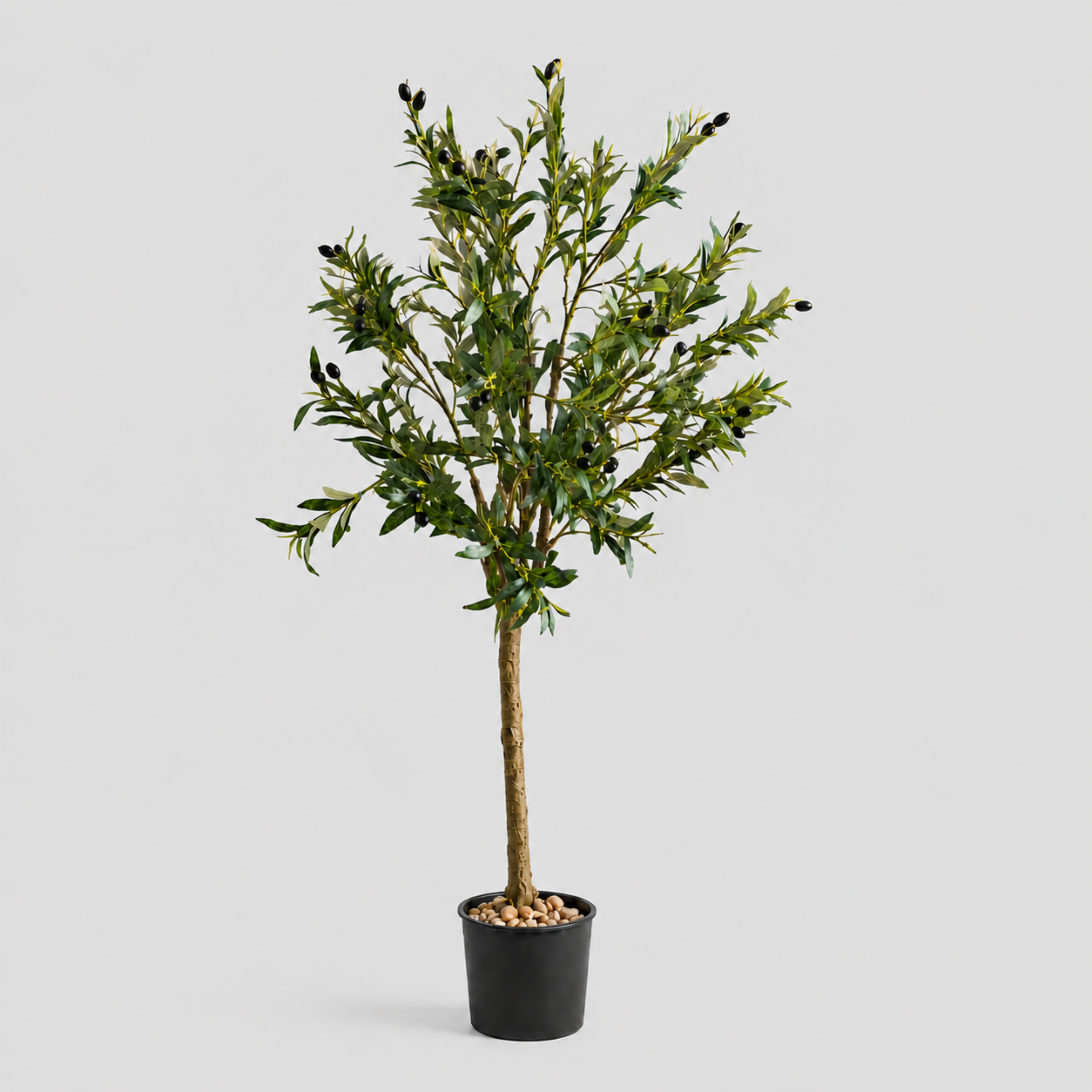 Riva Tree