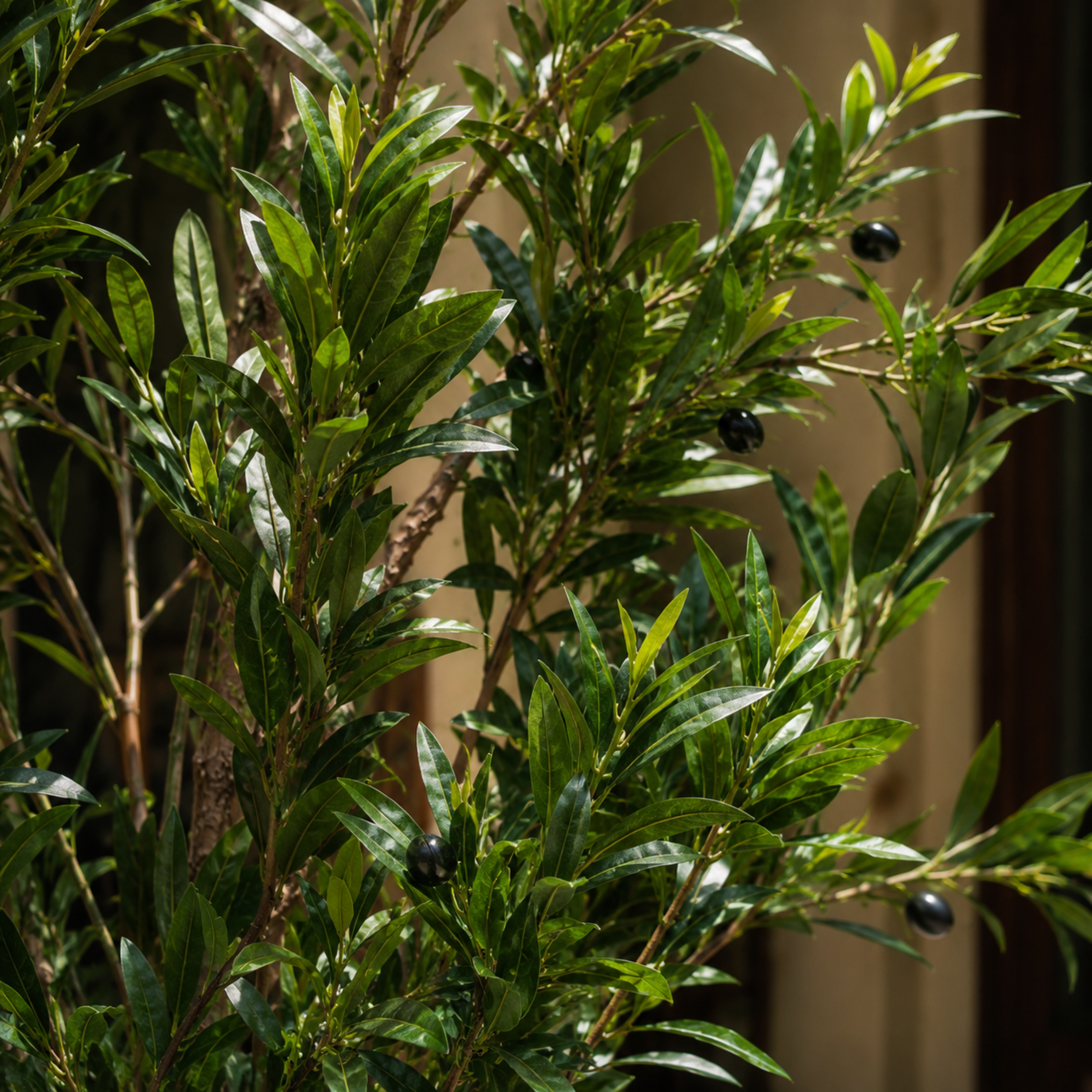 Riva Tree