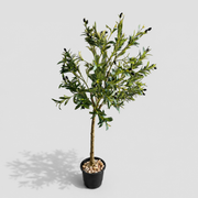 Riva Tree