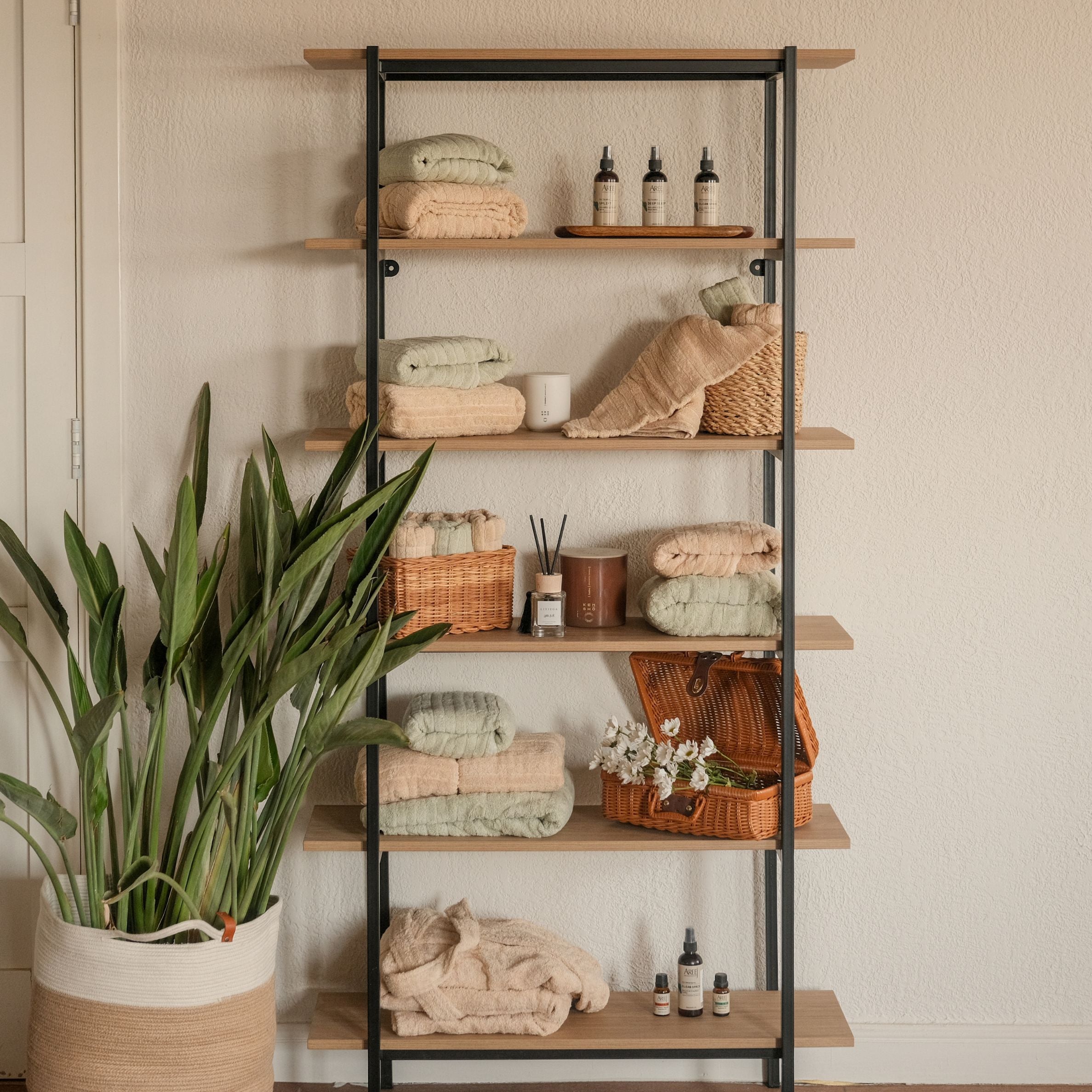 Talon Shelves Unit
