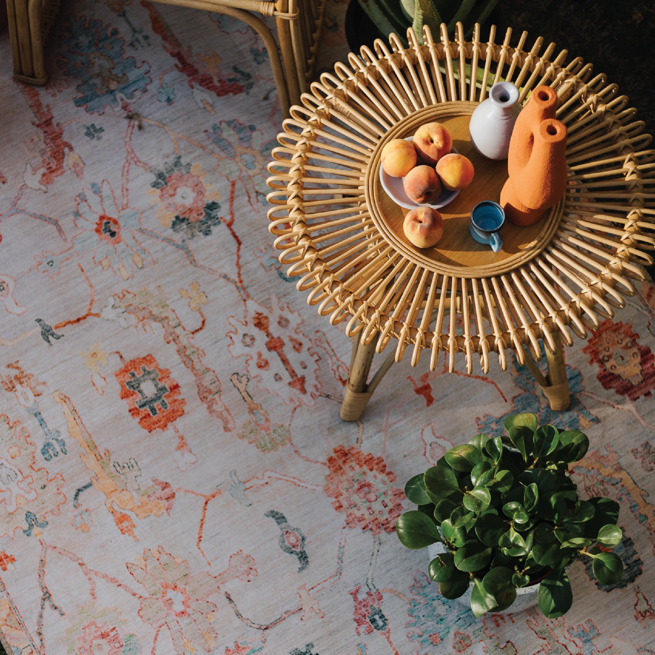 Arak Outdoor Rug