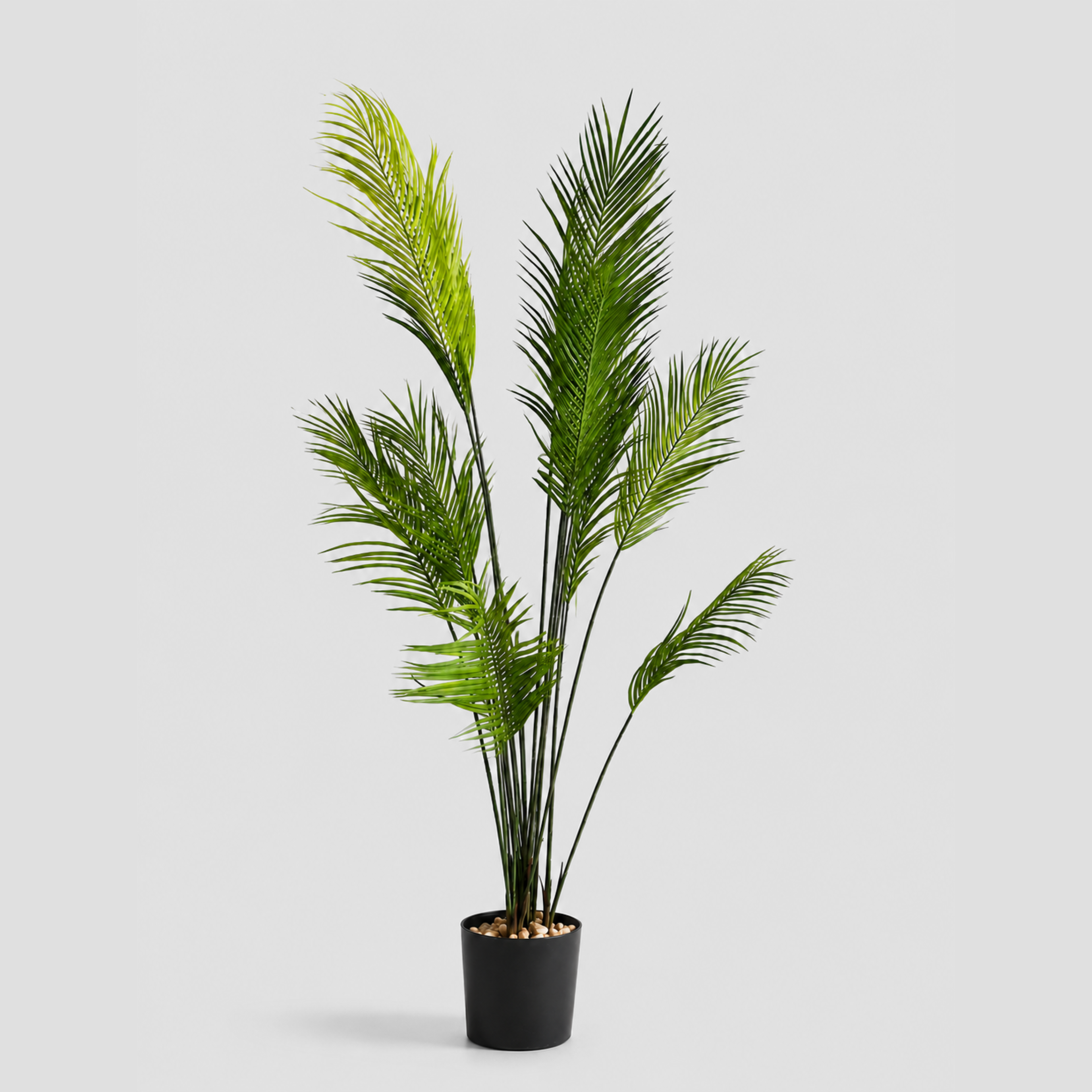 Vero Tree
