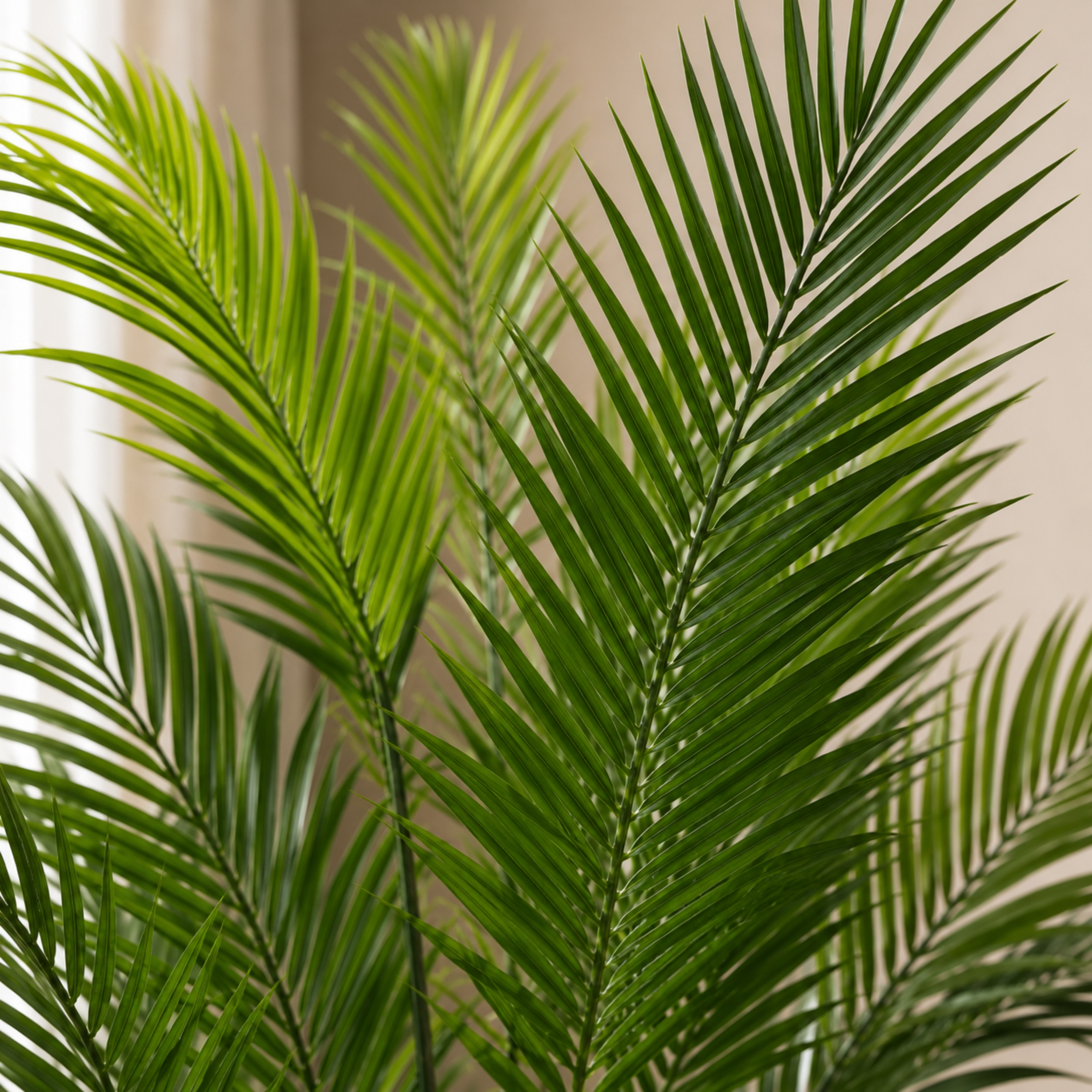 Vero Tree