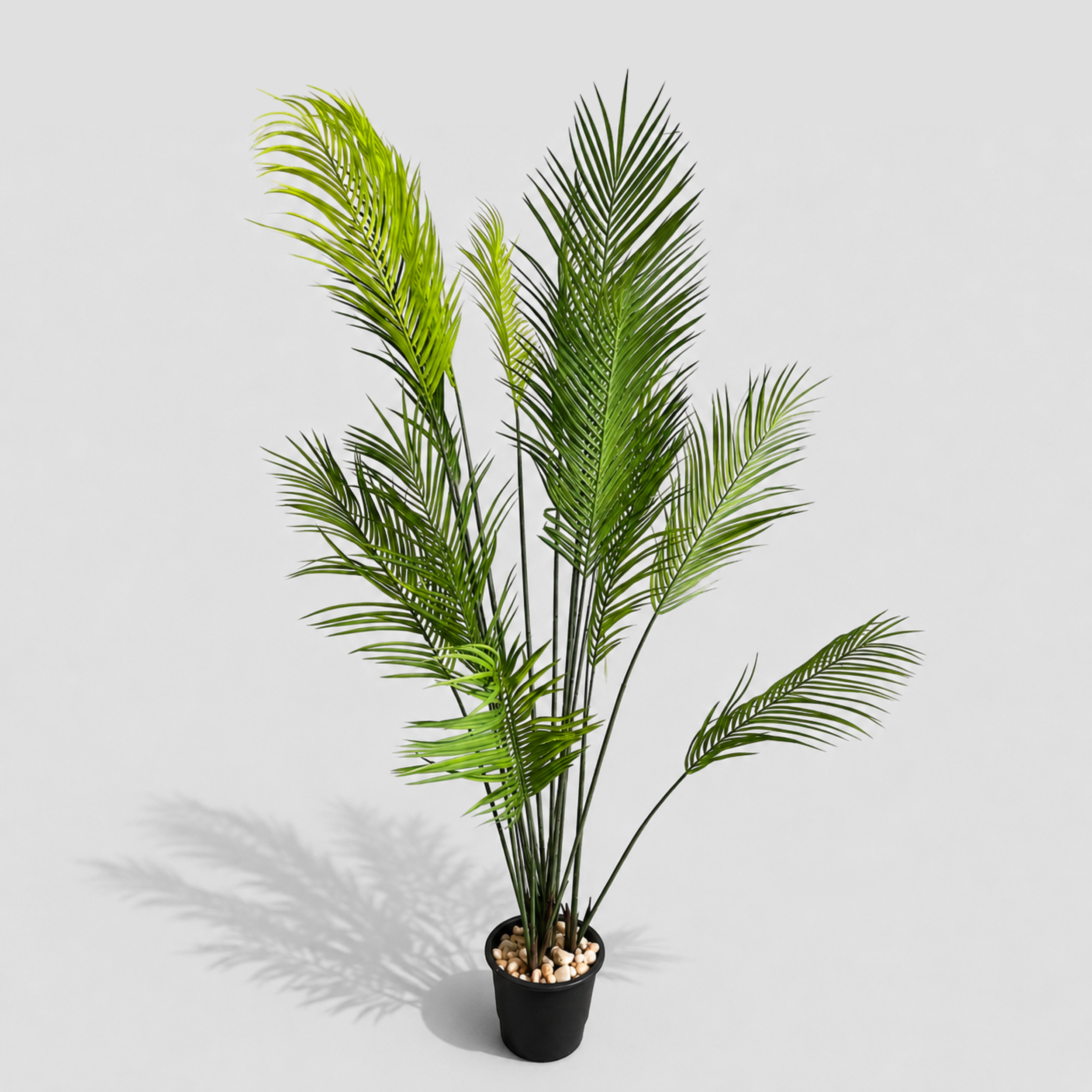 Vero Tree