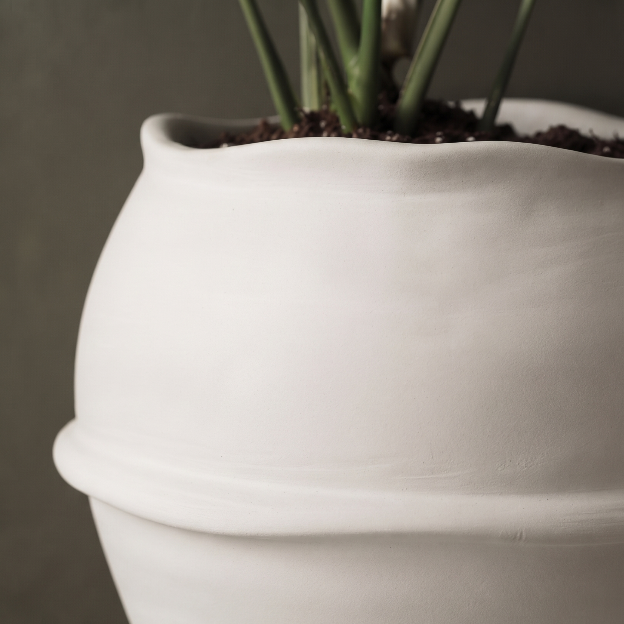 The Halo Plant Pot
