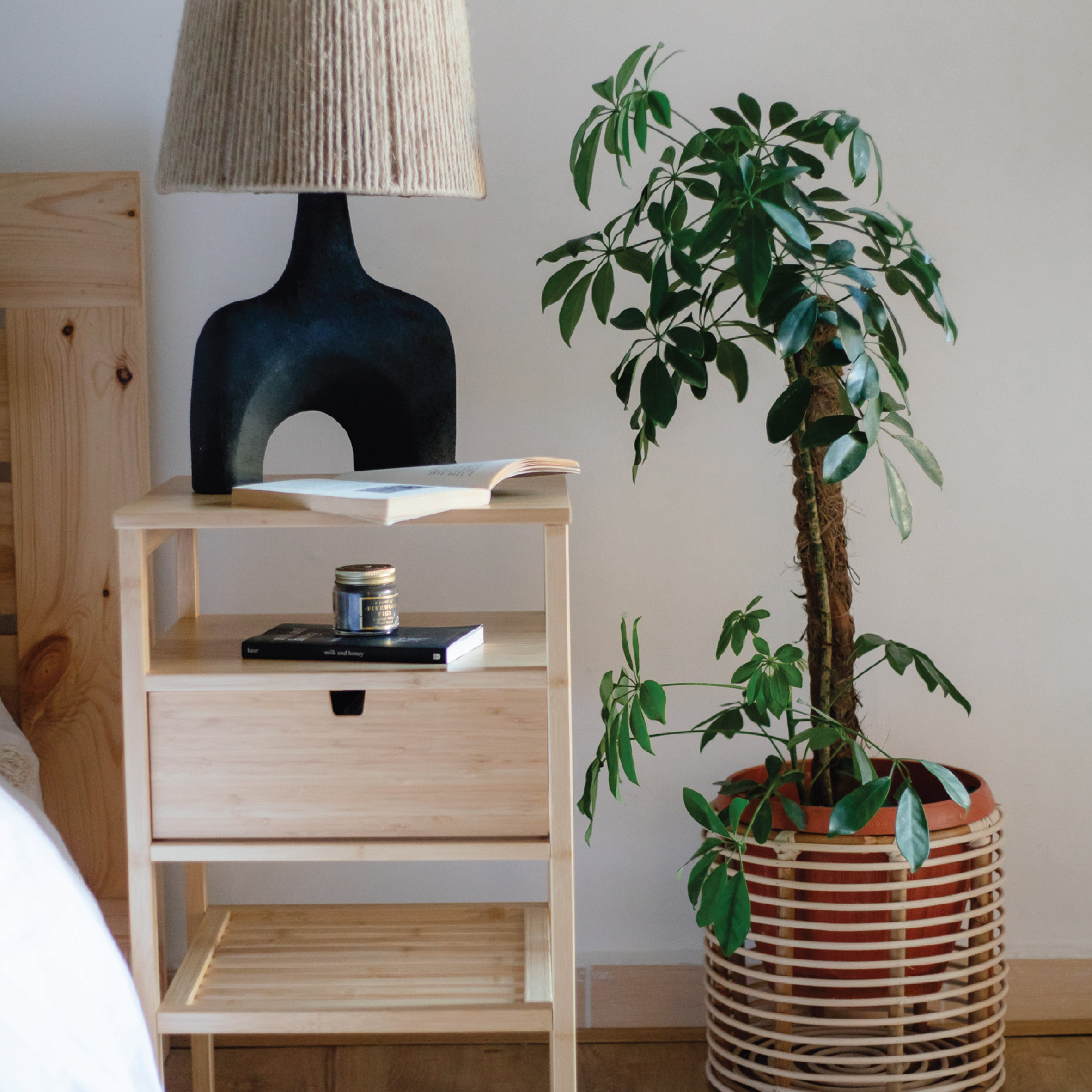 Mojo bamboo Plant Pot